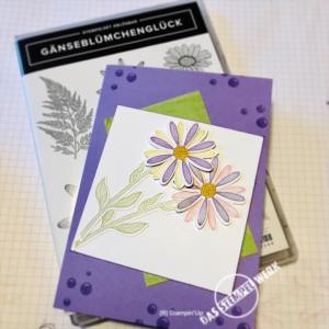 Gänseblümchenglück, Stampin Up, Grußkarte